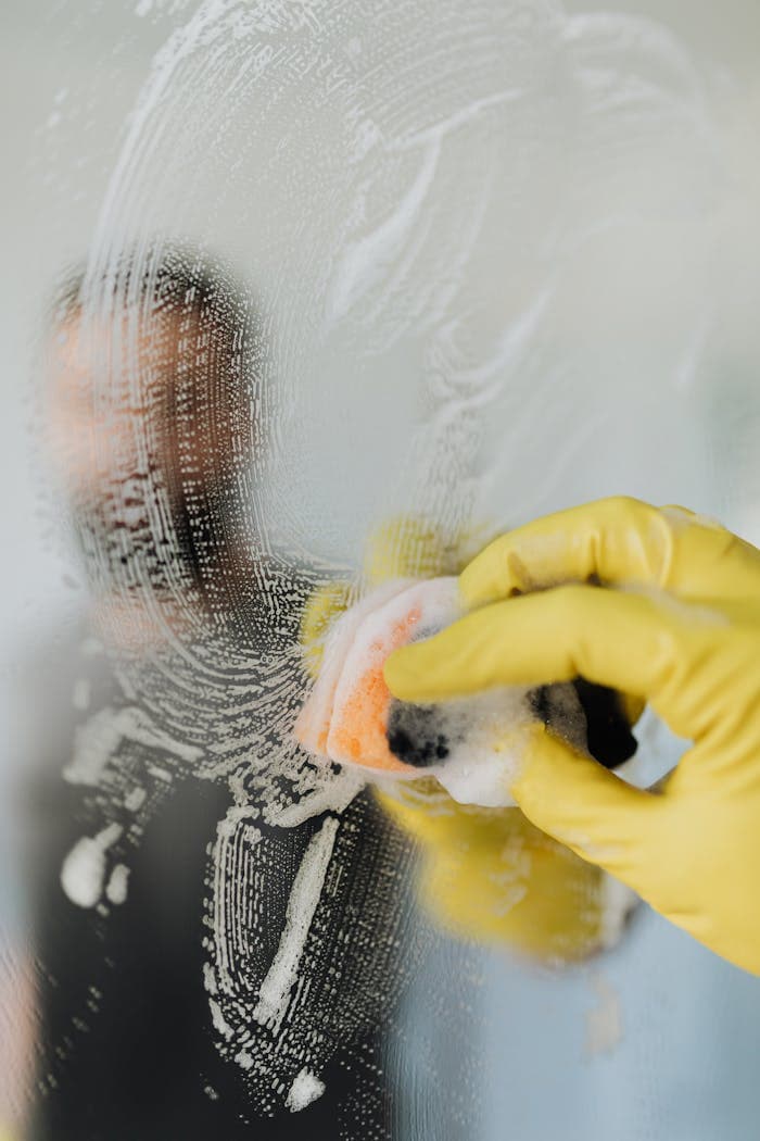Cleaning products ready for detailed service